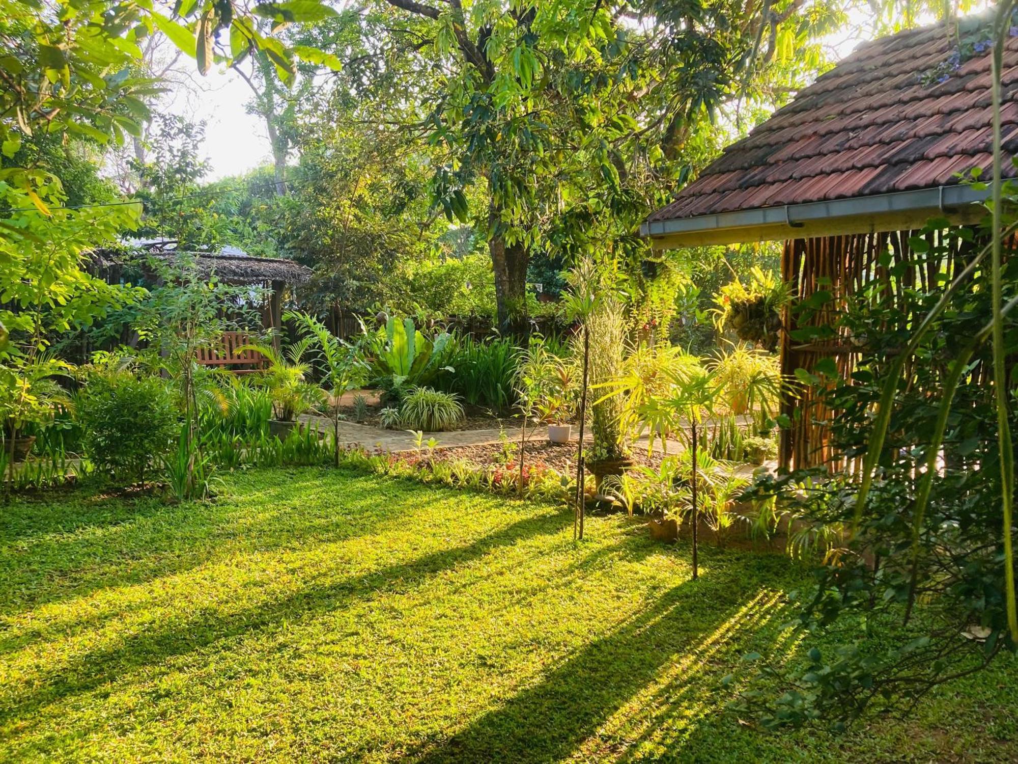Green Paradise Cottage Udawalawa Udawalawe Exteriör bild