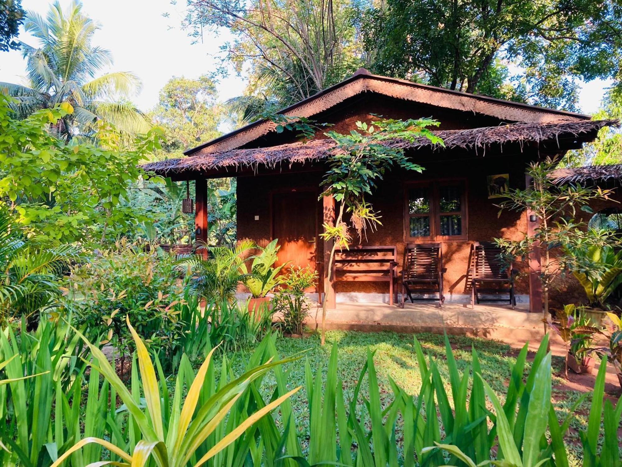 Green Paradise Cottage Udawalawa Udawalawe Exteriör bild