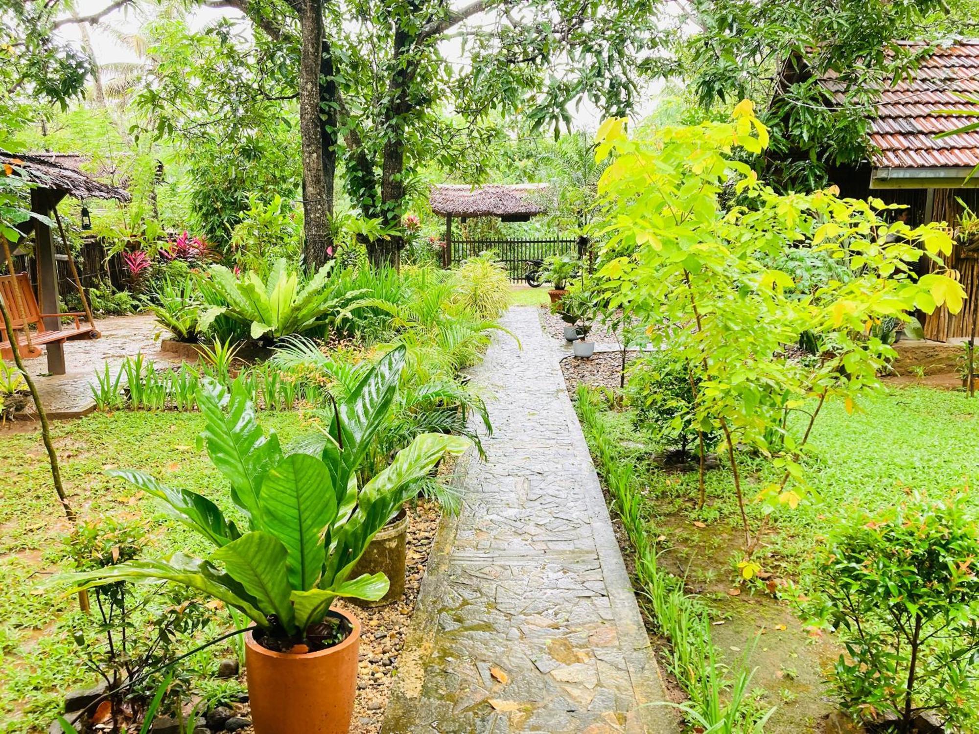Green Paradise Cottage Udawalawa Udawalawe Exteriör bild