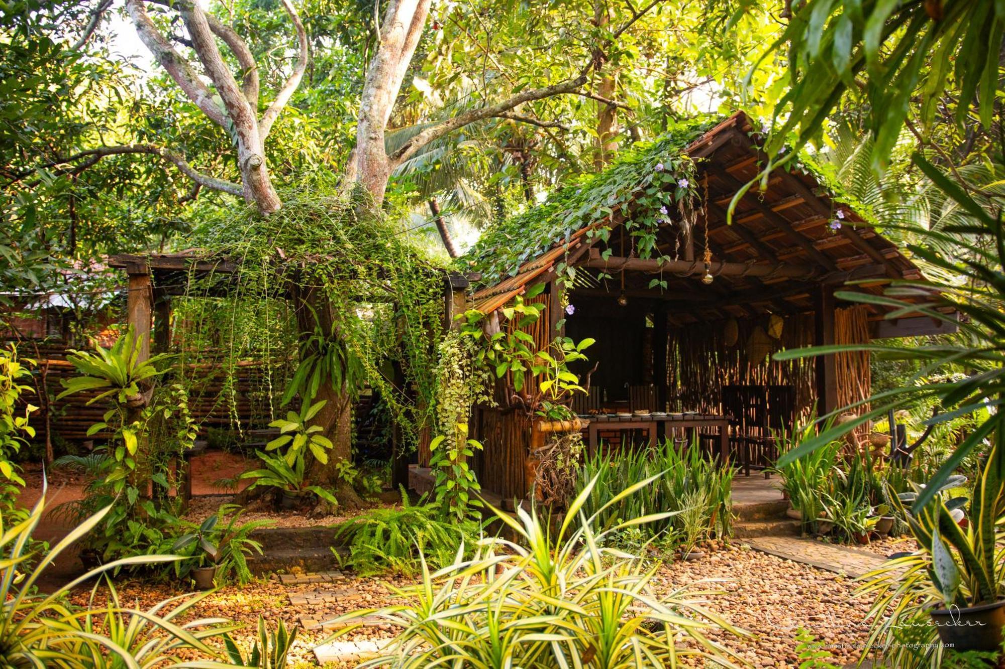 Green Paradise Cottage Udawalawa Udawalawe Exteriör bild