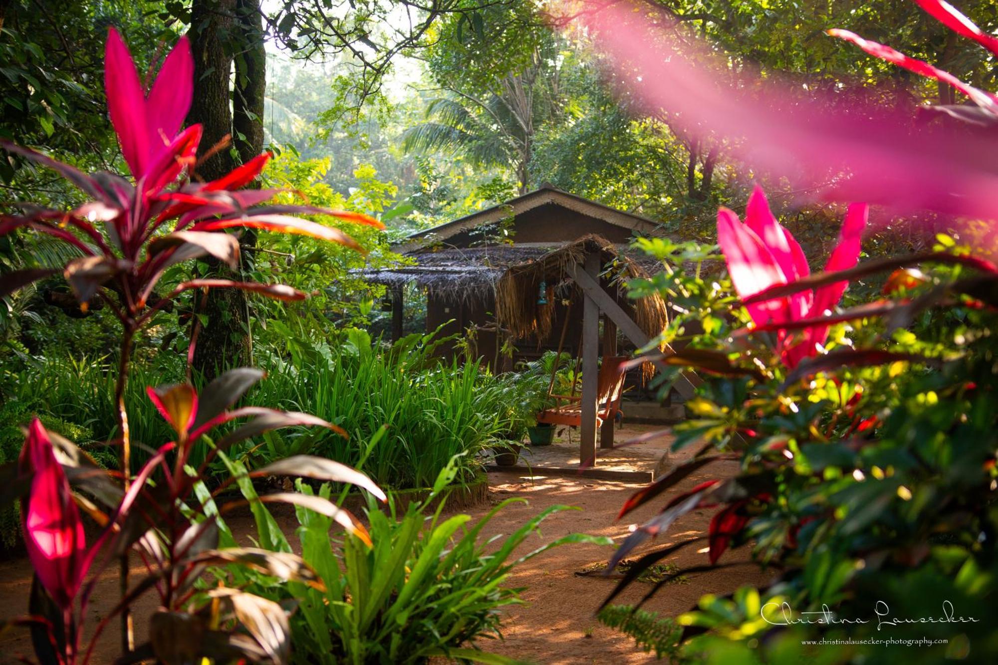 Green Paradise Cottage Udawalawa Udawalawe Exteriör bild