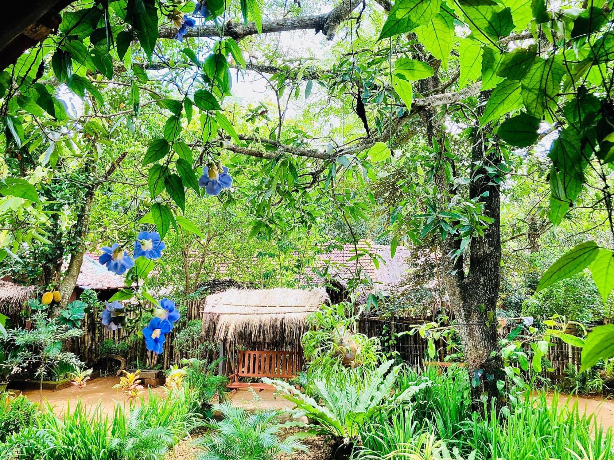 Green Paradise Cottage Udawalawa Udawalawe Exteriör bild