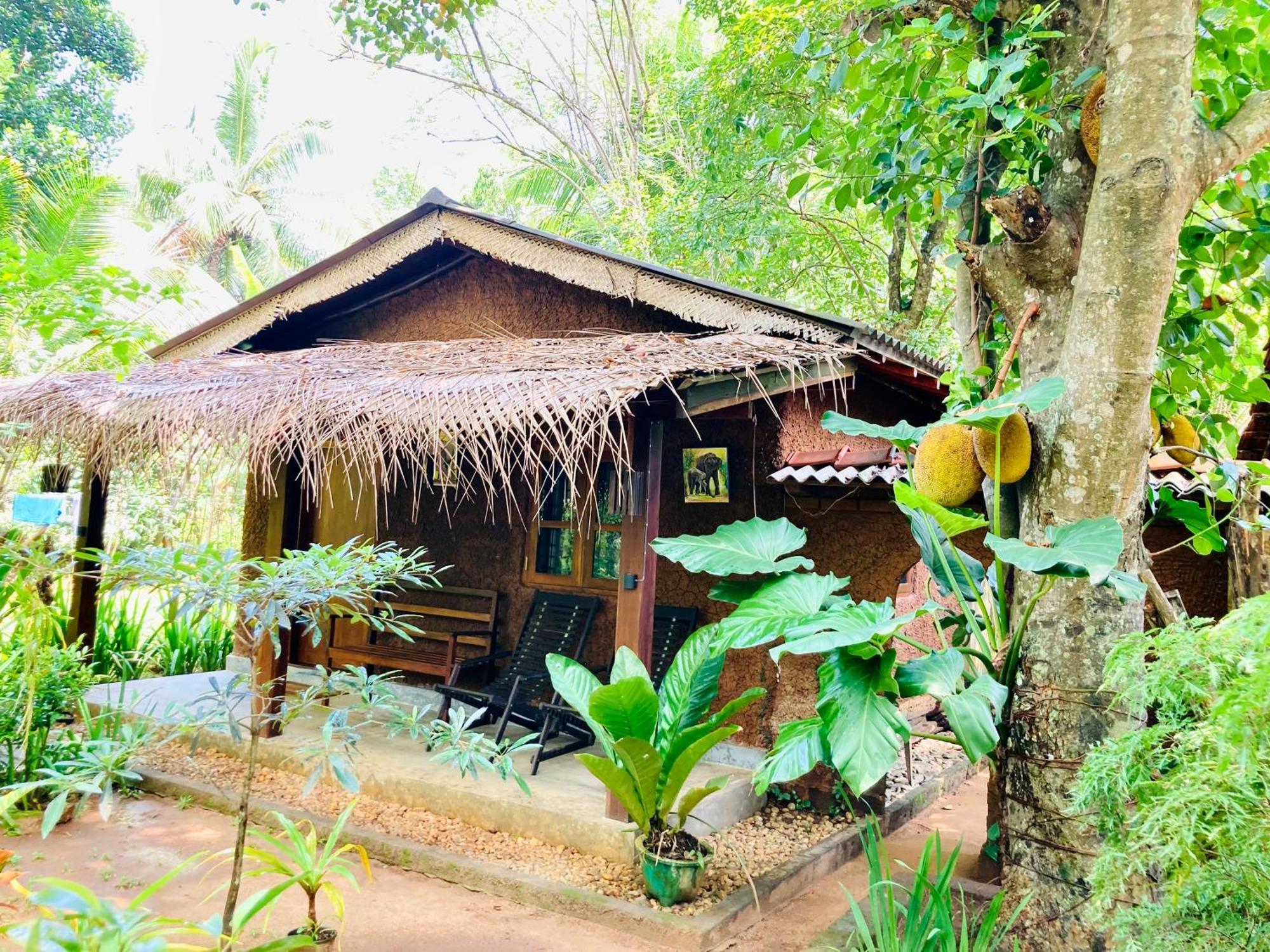 Green Paradise Cottage Udawalawa Udawalawe Exteriör bild