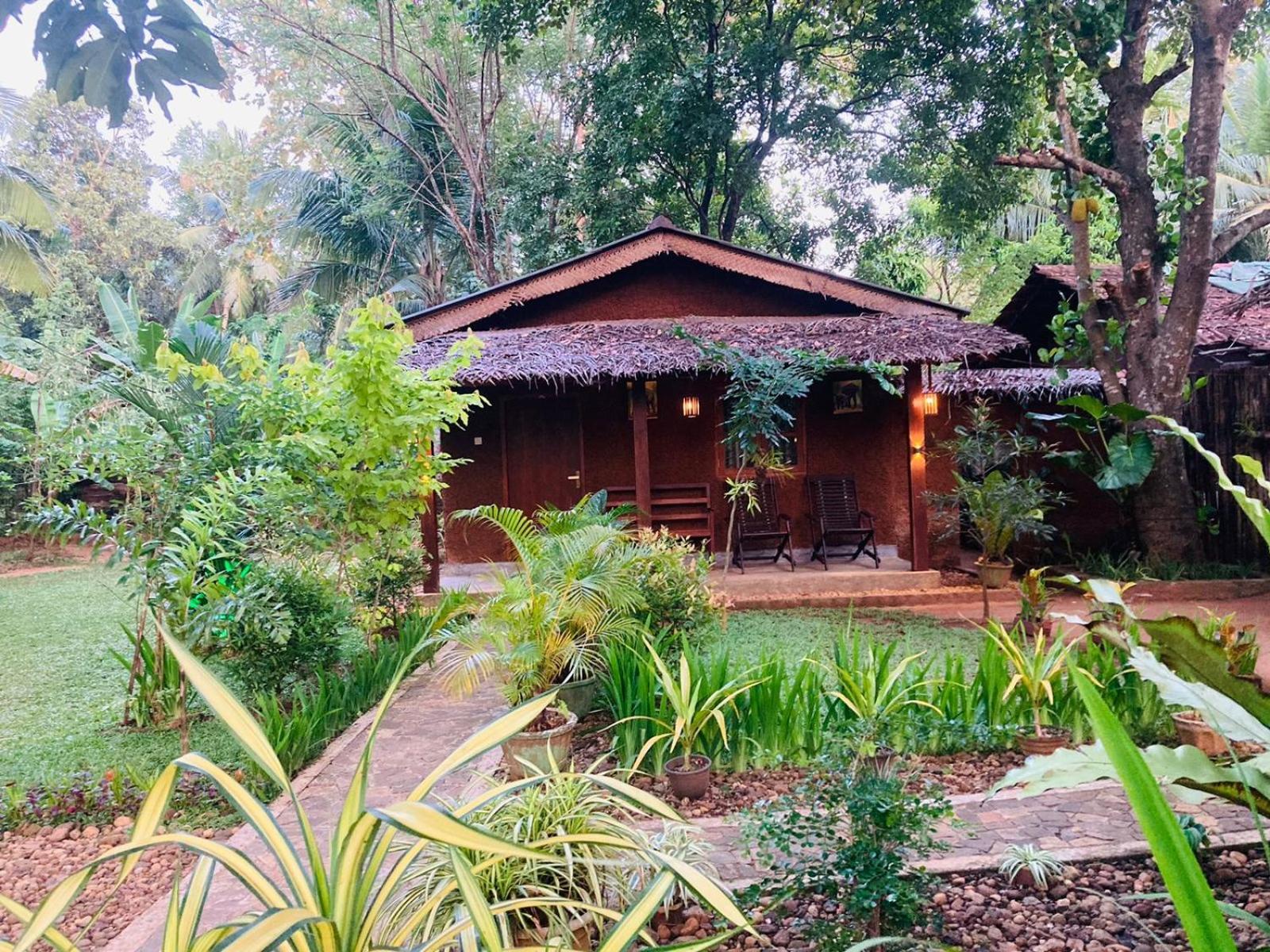Green Paradise Cottage Udawalawa Udawalawe Exteriör bild
